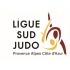 Ligue Sud Judo